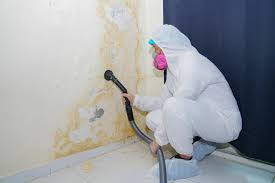 Best Commercial Mold Inspection  in Lodi, NJ